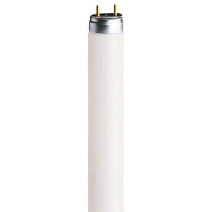 Ampoules CFL Fixations G5 à 2 broches blanc doux 3500 K TBE Lighting Lot de 2 tubes fluorescents T5 13 W 517 mm Lampes T5 haute efficacité