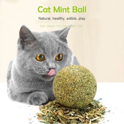 Peluche chat chartreux deals