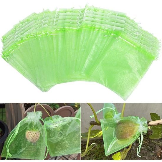 100 Sacs Protection Raisins - Anti-Oiseaux Et Insectes, Filet Organza