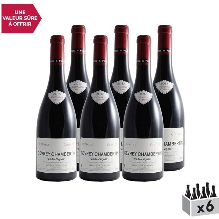 Gevrey-Chambertin Rouge 2018 - Lot de 6x75cl - Domaine Christophe Coillot - Vin AOC Rouge de Bourgogne - Cépage Pinot Noir