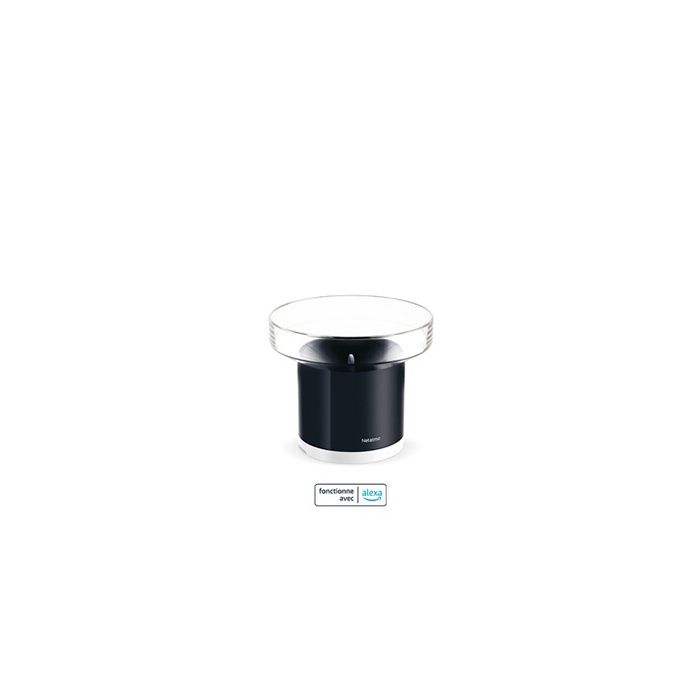 NETATMO NRG01-WW Pluviomètre pour station météo