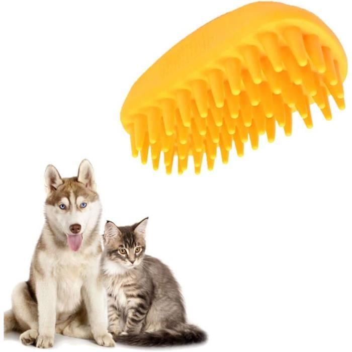 Peigne de massage à poils collants Brosse de massage pour chiens et chats à  poils courts Brosse - Cdiscount