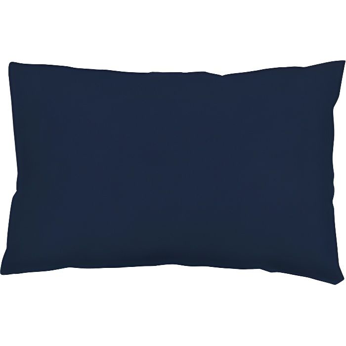 Oreiller Camping LL Bean - Plaid Bleu Flanelle - Lavable Et Pliable