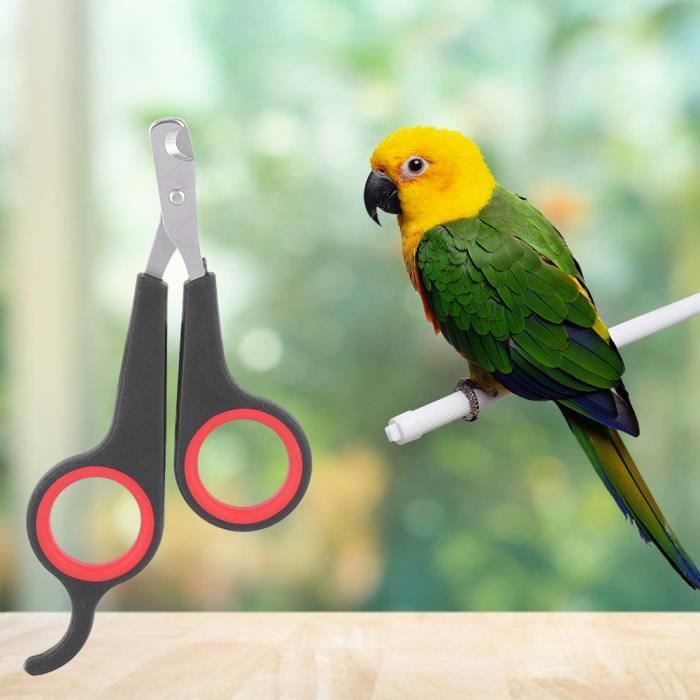 Garosa coupe-ongles oiseau Animal de compagnie oiseau perroquet petits animaux accessoire outil de toilettage ciseaux à ongles