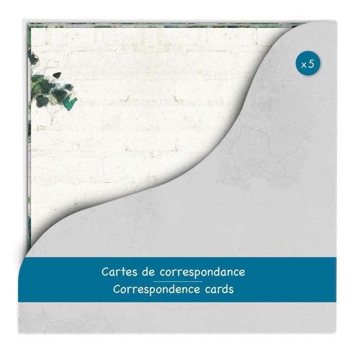 Clairefontaine 20033C - Set de 8 Cartes Simples Pré-Imprimées, Format 11, 6x11,6cm + 8 Enveloppes Gommées, Format Carré 12x12cm - Correspondance Anniversaire Enfant Garçons - Thème Football