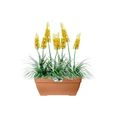 Elho Vibia Campana Bac à fleurs Terrasse 80 - Marron - L 77 x B 35 x H 33 cm - extérieur - 100% recyclé-1