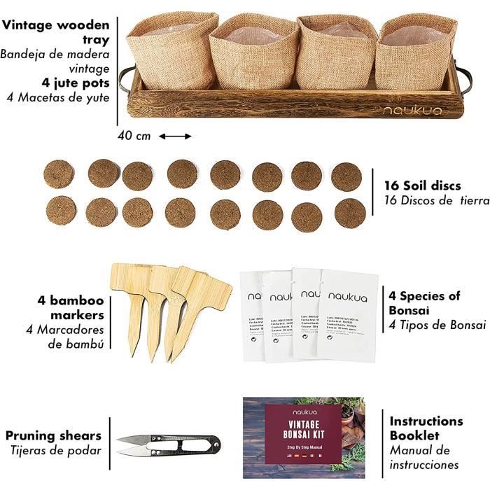 Kit Potager D’Intérieur Vintage – Laitue, Radis, Piment Vert & Tomates – Graines Bio + Livret