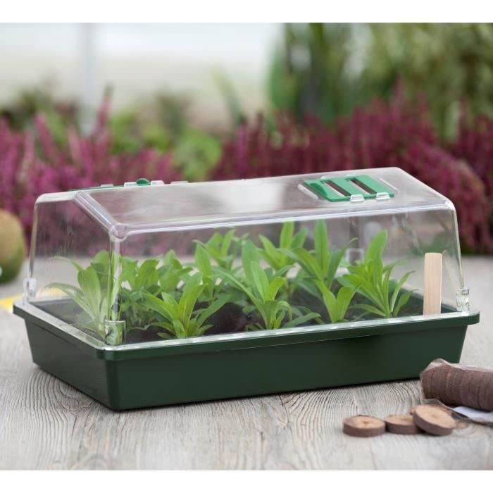 1pc, Petite Serre Verte Pour Plantes, Gardzen Mini Serre Portable