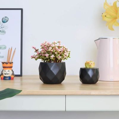Pot de fleur noir lot de 3, céramique succulent pots de plantes, petit  moderne cactus jardinières de fleurs (plante non incluse) - Cdiscount Jardin