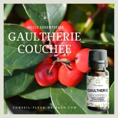 Huile Essentielle De Gaultherie Couchee - 10Ml - 100% Pure, Naturelle ...