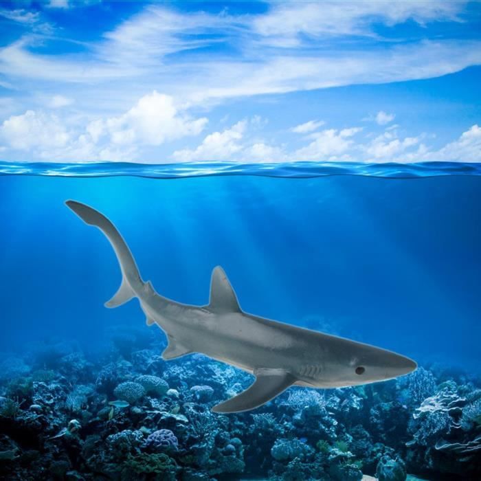 Tbest Figure de mégalodon Modèle de Requins Jouet de Simulation de Vie  Marine Océanique Figure de Modèle Animal Rare(Mégalodon - Cdiscount