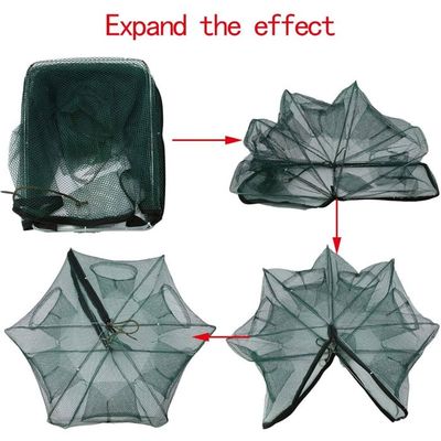 Meitianfacai Filet de Pêche pour Piège à Poisson Crabe Crevette Écrevisse Homard Crawdad Pliable Meitianfacai Filet de Pêche pour Piège à Poisson Crabe Crevette Écrevisse Homard Crawdad Pliable