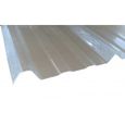 Plaque type bac acier 1045 en polyester - L: 250 cm - l: 105 cm - Translucide-0