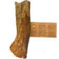RF - Deer Bois d'orignal, Cerf pour Chien | Taille XL (120-180 g) | Version Hard | 14-17 cm-0
