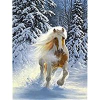 YEESAM ART Peinture par Numero Adulte Cheval blanc Animal, Peinture Numero d Art Sans Cadre 16x20 pouce Acrylique