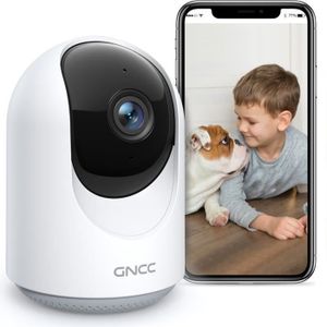 CAMÉRA IP Caméra de surveillance GNCC P1 - WiFi Interieur Ca