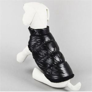 Manteau Pour Chat Cdiscount