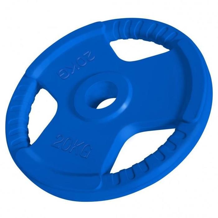 1 x Disque de 20 KG - Poids en fonte avec poignées et revêtement caoutchouc - Ø 51mm d'alésage