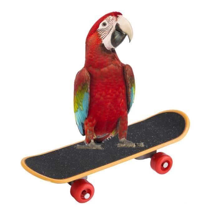 1pc perroquet planche à roulettes perchoir oiseau drôle formation jouant jouet d'interaction