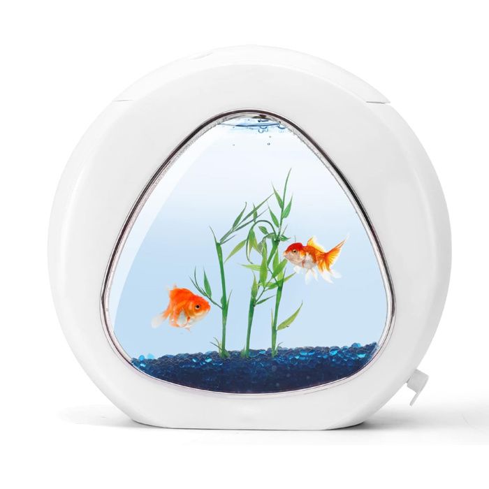 Comparer les prix de Aquarium Design avec fenêtre en Verre et lumière LED, Couleur Blanc. Capacité de 4 litres.