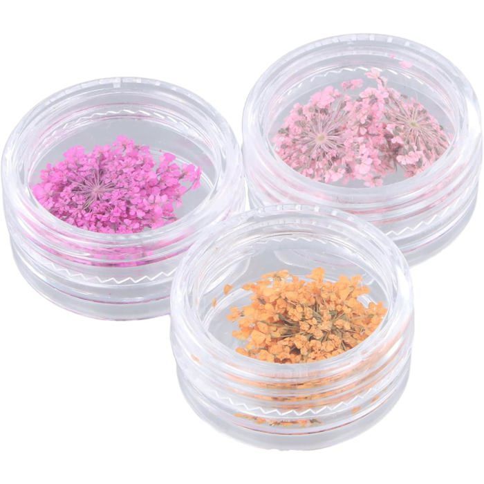 Fleurs Séchées 3D Pour Nail Art - 12 Couleurs Véritables Fleurs Avec Boîte Transparente Fleurs Séchées 3D Pour Nail Art - 12 Couleurs Véritables Fleurs Avec Boîte Transparente