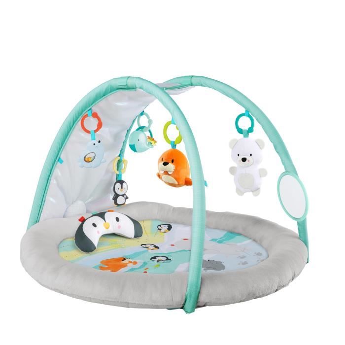 Bright Starts Tapis De Jeu Arctic Glow Light Show Multicolore Cdiscount Puericulture Eveil Bebe