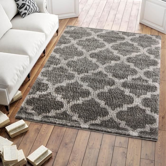 Tinyboy-hbq Tapis Modernes De Salon Soft Tapis à Poils Longs Extra Doux Et Confortable Tapis Antidérapant Intérieur Moelleux épais (Gris Blanc, 80 * 200cm