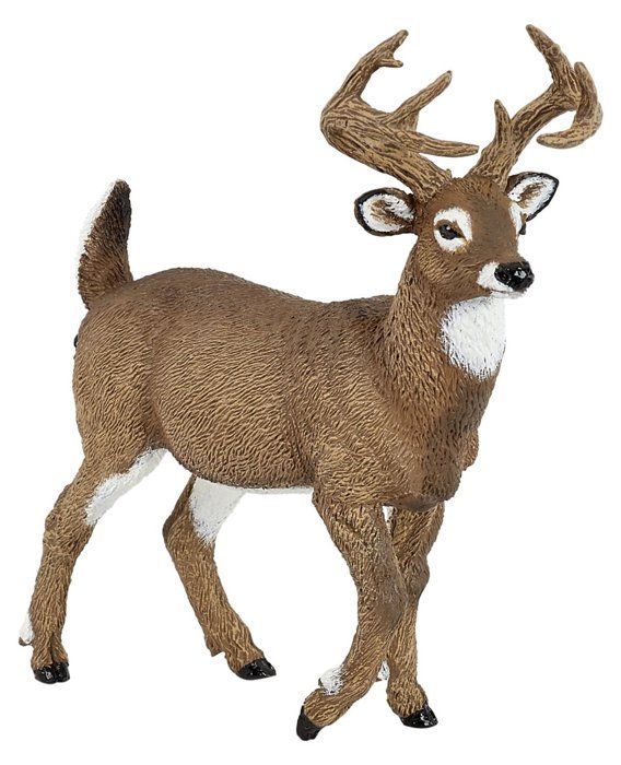 Papo - Figurine Girafe Mâle Réaliste Jouet Enfant - 3 Ans + - Collection La Vie Sauvage - Jeu Éducatif Découverte Animaux - Idée Cadeau Jouet Fille Garçon - 11 Cm X 6 Cm X 20 Cm