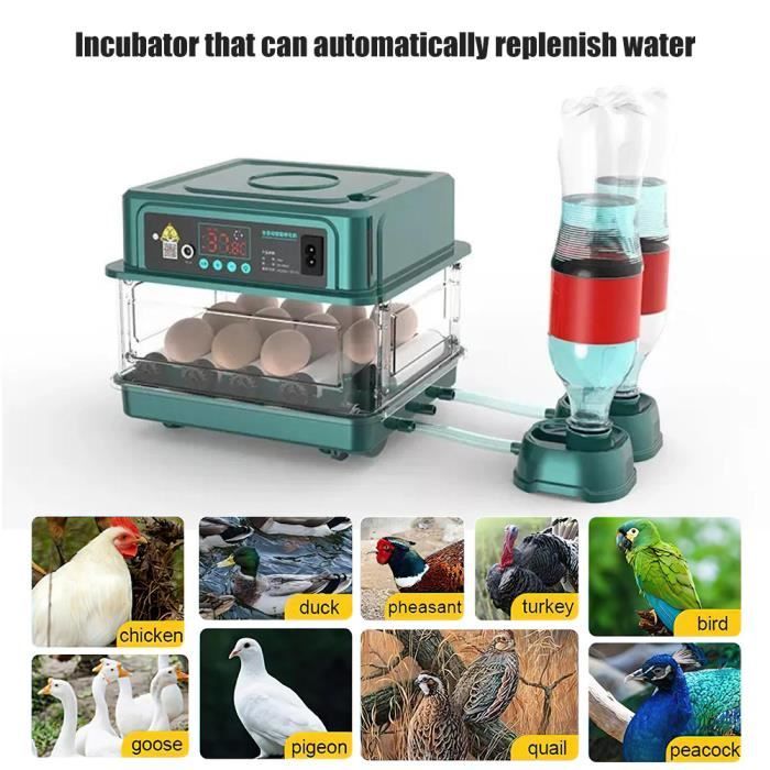 Comparer les prix de Incubateur Oeuf Automatique Professionnel avec Dispositif Automatique pour Retourner Les œufs - pour 10 œufs
