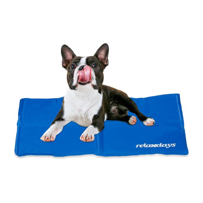 Comparer les prix de Relaxdays Matelas chiens, 65 x 50 cm, tapis rafraîchissant, gel, lavable, rafraîchisseur animaux, bleu