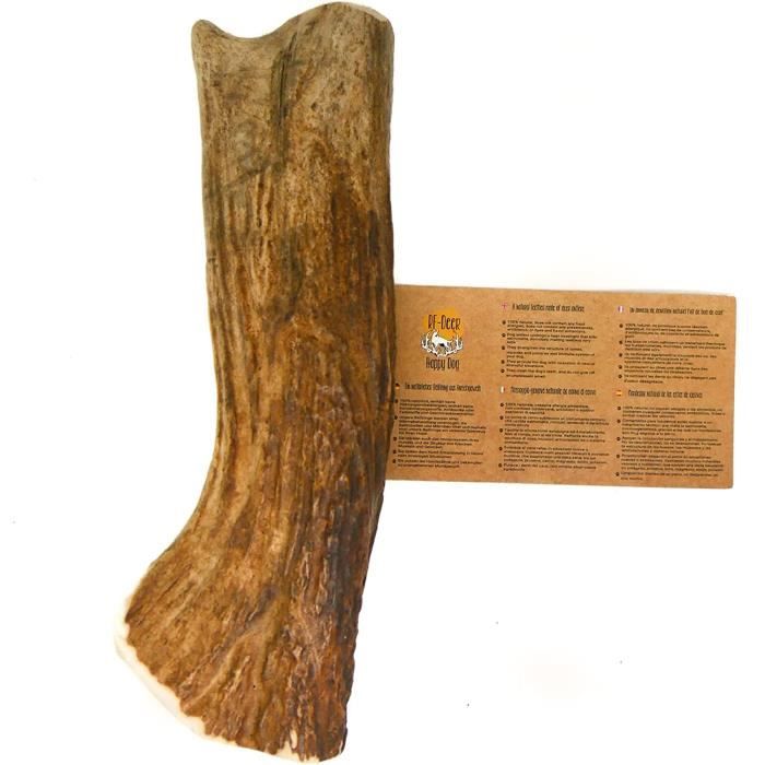 RF - Deer Bois d'orignal, Cerf pour Chien | Taille XL (120-180 g) | Version Hard | 14-17 cm