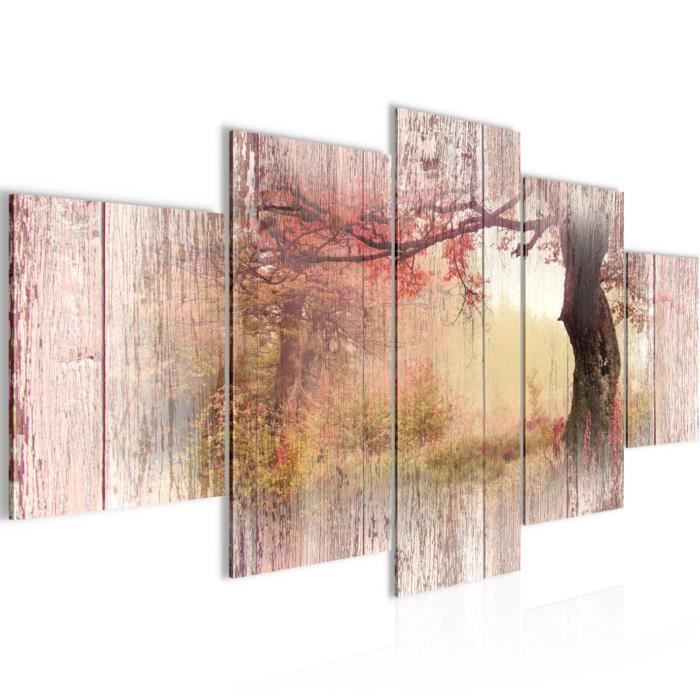 Tableau Decoration Murale Planches De Bois D Automne 150 X 75 Cm Xxl Impression Sur Toile Salon Appartment Rose 606453a Achat Vente Tableau Toile Cdiscount
