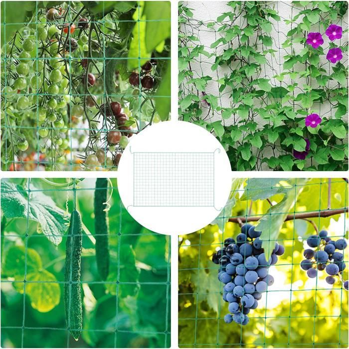 Jiuzcare Filet à Plantes Gripantes, 1.8 * 3 Treillis Jardin Filet