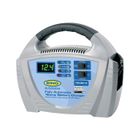 RING Chargeur de batterie 12 Volts - 12 Amp - 180 AH