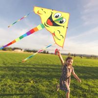 Cerf-Volant Triangulaire Exquis Résistant à la Déchirure - VGEBY - Pour Enfant - Mixte - A partir de 3 ans
