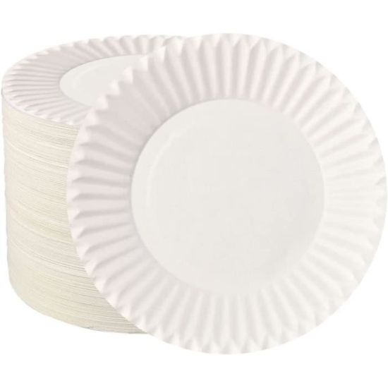 100 Assiettes En Carton Biodégradables Hisdricus | Jetables Et Résistantes 250 G/m² | Pour Fêtes Et Barbecues