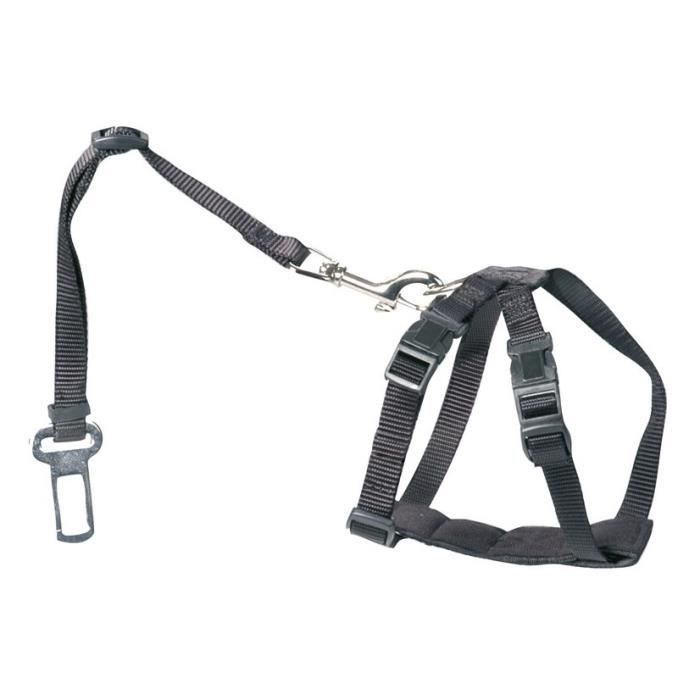D&D Harnais de sécurité M - Tour de poitrine 50-70cm - Pour chien