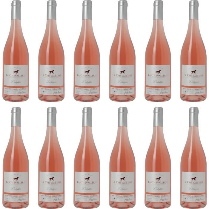 Saint Nicolas de Bourgueil - L'échappée - Vin rosé du Val de Loire - 100% cabernet franc - Lot de 12 bouteilles