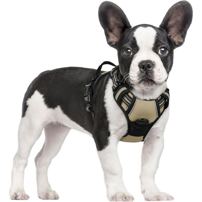 Meilleurs prix pour Harnais Chien Anti Traction Beige XS Harnais Chien avec Poignée Facile à Mettre Gilet Réglable Réfléchissant pour Petit Chien