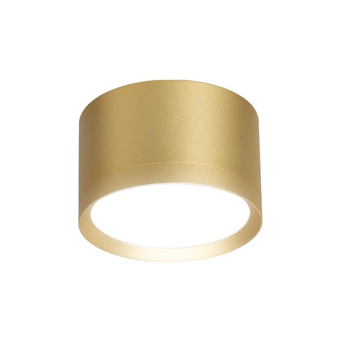 Luminaire Cyklop Spot Gold 1xGx53