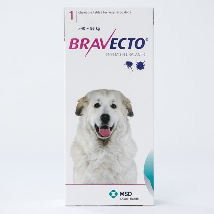 Bravecto For Cats Amazon Bravecto For Cats Amazon