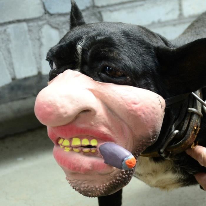 Halloween Effrayant Drole Chien Masque Reglable Pour Petit Chien Animaux Museau Harnais Silicone Anti Morsure Chien Muselieres A Cdiscount Halloween Effrayant Drole Chien Masque Reglable Pour Petit Chien Animaux Museau Harnais Silicone Anti Morsure Chien Muselieres A Cdiscount