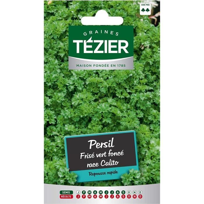 500 Graines Persil Frisé Vert Foncé – Aromatique Facile, Parfumé, Idéal Cuisine & Pot