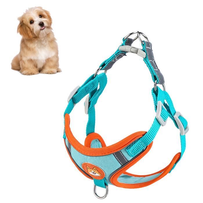 Meilleurs prix pour VGEBY Harnais Chien Harnais pour Petit Chien - Gilet pour chien -  Bleu L