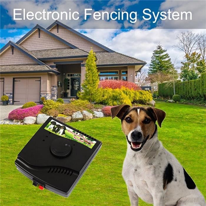 W227 electronic fencing system cheap