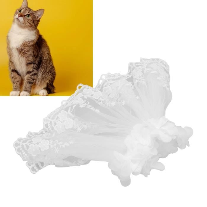 Robe de mariée pour chat cheap