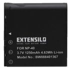 EXTENSILO 1x Batterie compatible avec Casio Exilim EX-Z1050, EX-Z1050BK, EX-Z1050BE, EX-Z100SR, EX-Z100PK appareil photo (1250mAh,