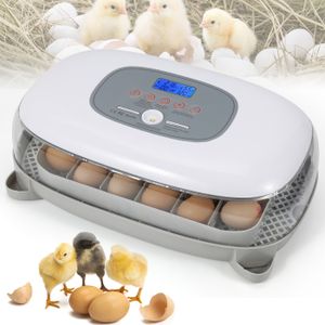 Incubateur Automatique 24 Œufs - 5 Modes, Retournement Auto, Contrôle Humidité, Pour Poules, Canards, Cailles Et Plus - 11
