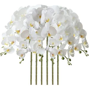 FLEUR ARTIFICIELLE Fleur Artificiel Phalaenopsis Orchidée 80Cm - Blanc - Real Touch PU Blumen + Plastikstiele