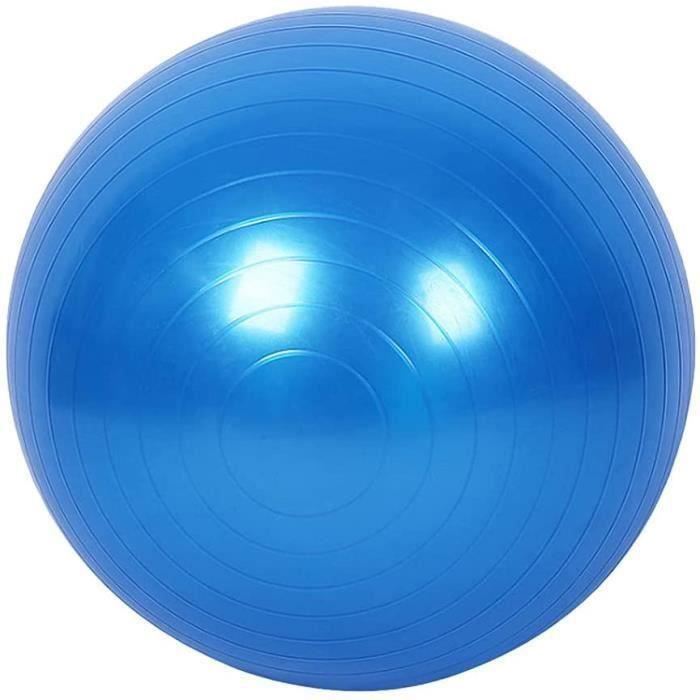Balle de Fitness 55 cm, Swiss Ball pour Pilates Yoga Gym, Ballon d'exercice avec Pompe, Anti-éclatement et Anti-dérapant Yoga Ball